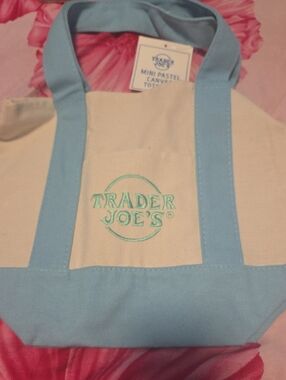 Mini Trader Joe's Canvas Tote Bag in Light Blue and Cream